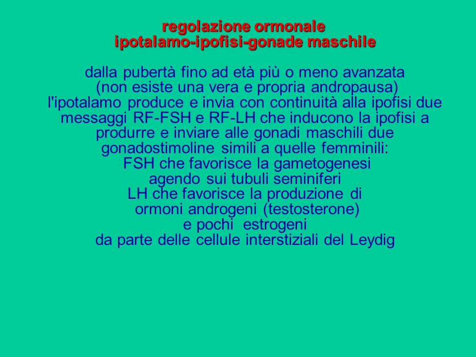 regolazione ormonale ipotalamo-ipofisi-gonade maschile dalla pubertà fino ad età più o meno avanzata (non esiste una vera e propria andropausa) l ipotalamo produce e invia con continuità alla ipofisi due messaggi RF-FSH e RF-LH che inducono la ipofisi a produrre e inviare alle gonadi maschili due gonadostimoline simili a quelle femminili: FSH che favorisce la gametogenesi agendo sui tubuli seminiferi LH che favorisce la produzione di ormoni androgeni (testosterone) e pochi estrogeni da parte delle cellule interstiziali del Leydig