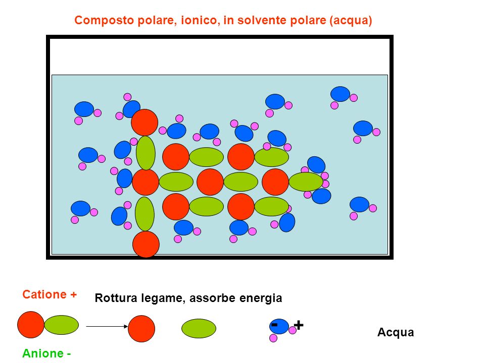Composto polare, ionico, in solvente polare (acqua)
