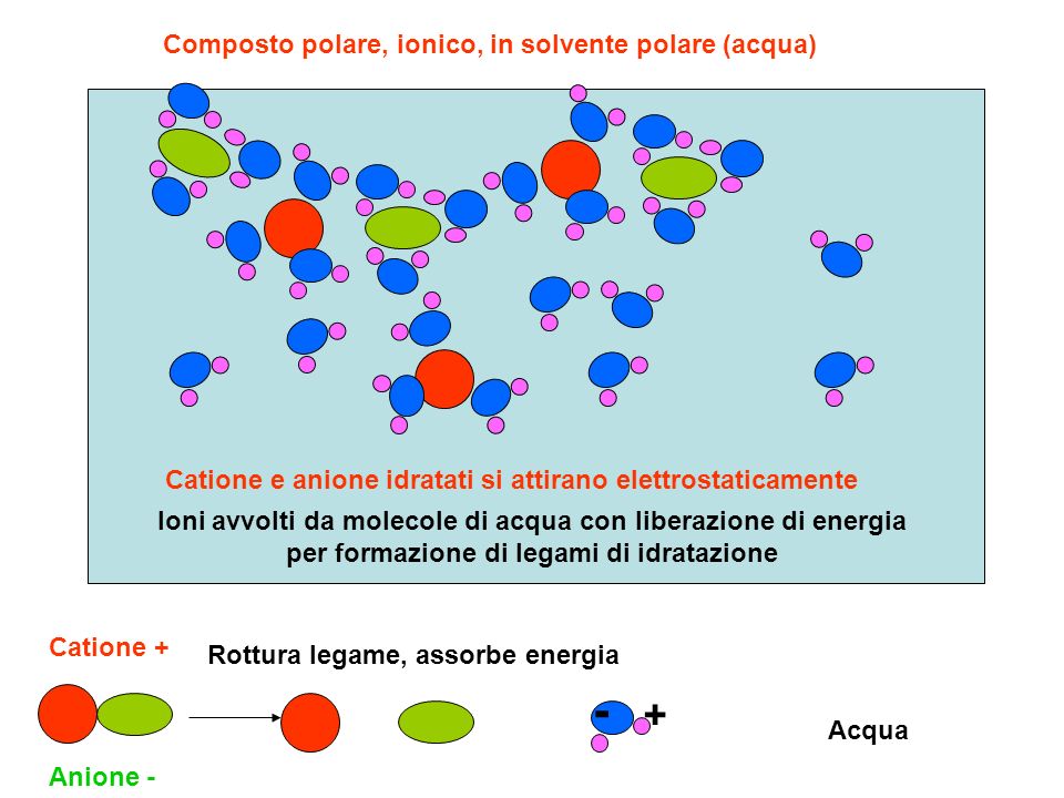 Composto polare, ionico, in solvente polare (acqua)