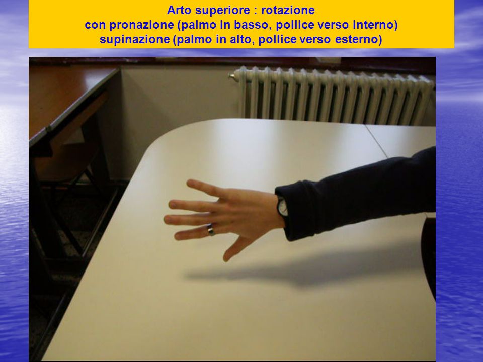 Arto superiore : rotazione con pronazione (palmo in basso, pollice verso interno) supinazione (palmo in alto, pollice verso esterno)
