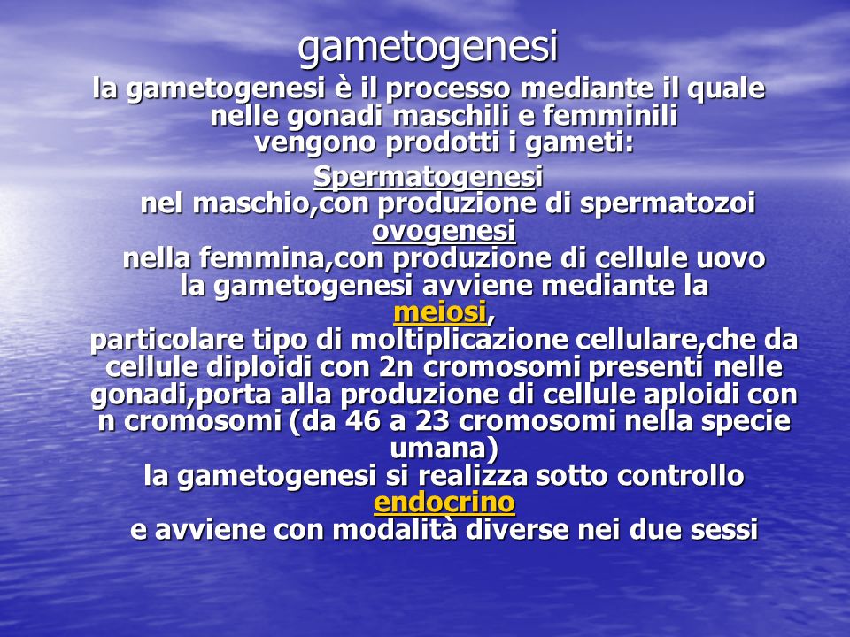 gametogenesi la gametogenesi è il processo mediante il quale nelle gonadi maschili e femminili vengono prodotti i gameti: