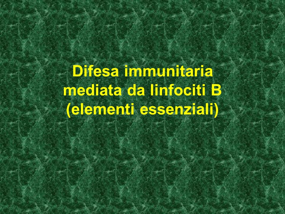 Difesa immunitaria mediata da linfociti B (elementi essenziali)