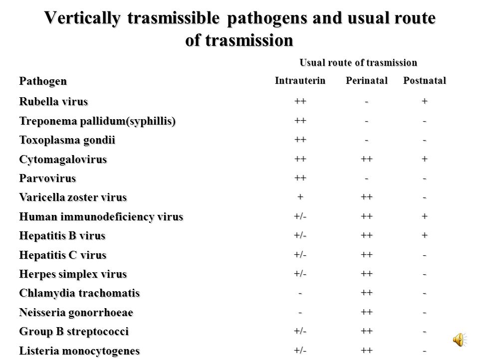 Vertically trasmissible pathogens and usual route of trasmission