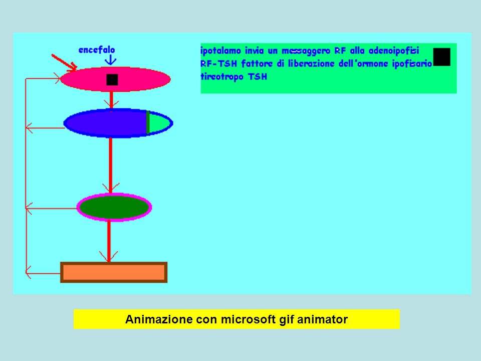 Animazione con microsoft gif animator