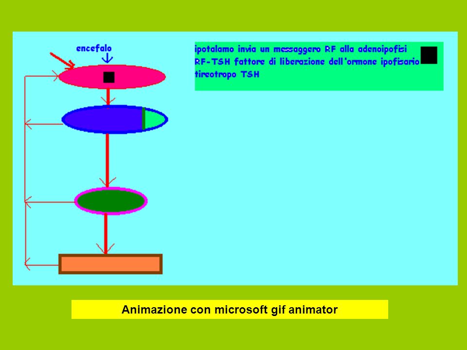 Animazione con microsoft gif animator