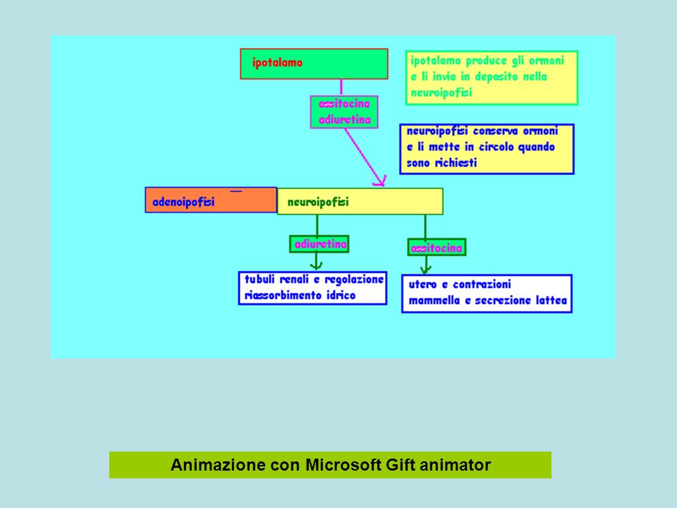 Animazione con Microsoft Gift animator