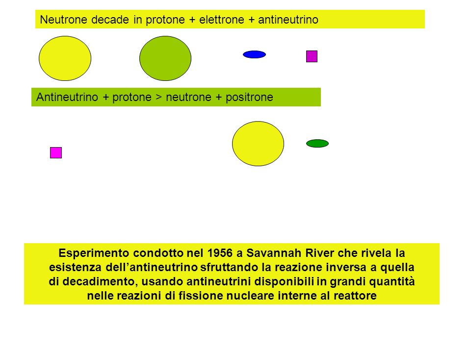 Neutrone decade in protone + elettrone + antineutrino
