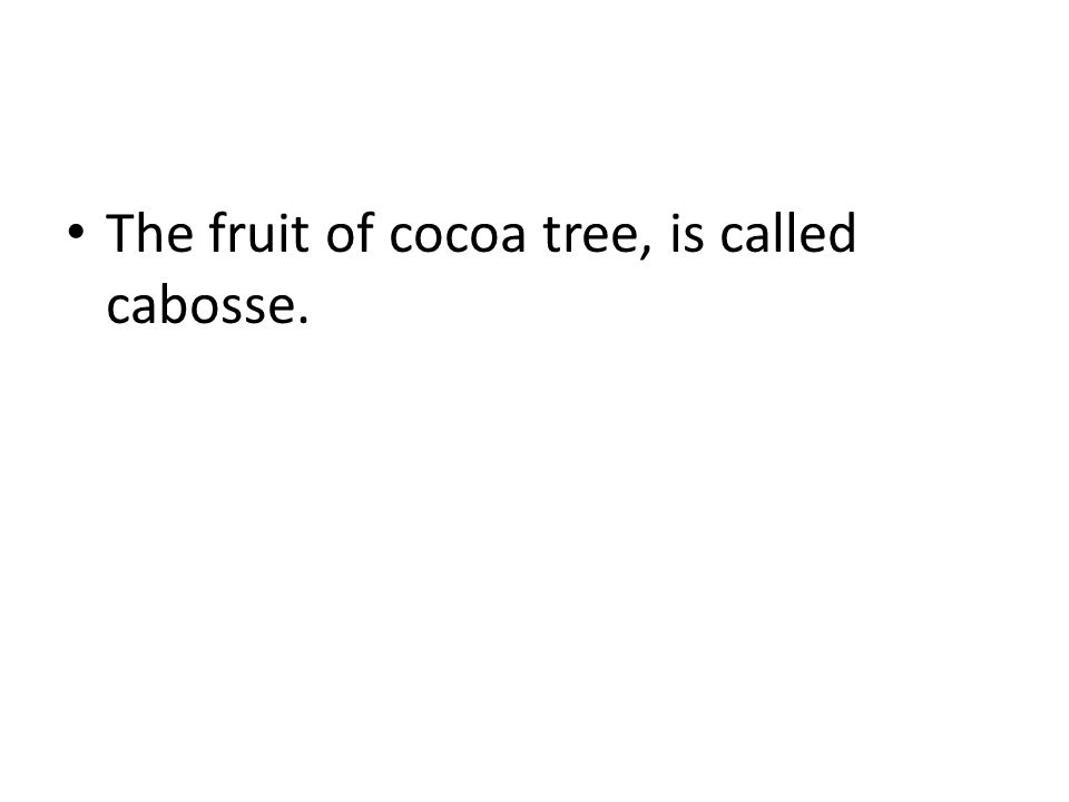 The fruit of cocoa tree, is called cabosse.
