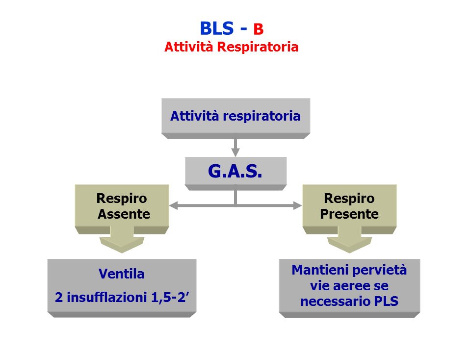 BLS - B Attività Respiratoria