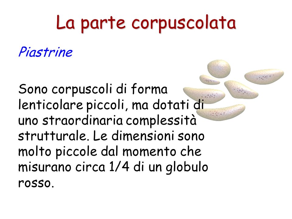 La parte corpuscolata Piastrine