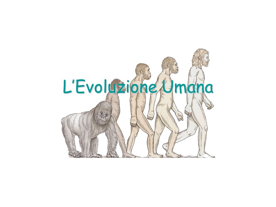 L’Evoluzione Umana