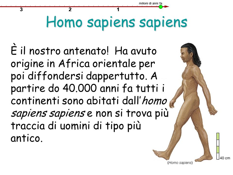 milioni di anni fa Homo sapiens sapiens.