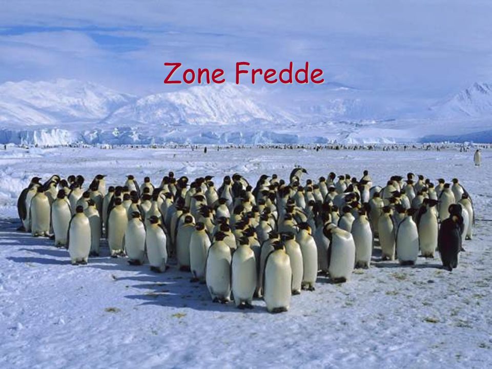 Zone Fredde