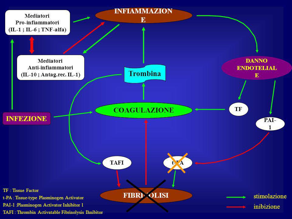 Trombina INFIAMMAZIONE COAGULAZIONE COAGULAZIONE INFEZIONE FIBRINOLISI