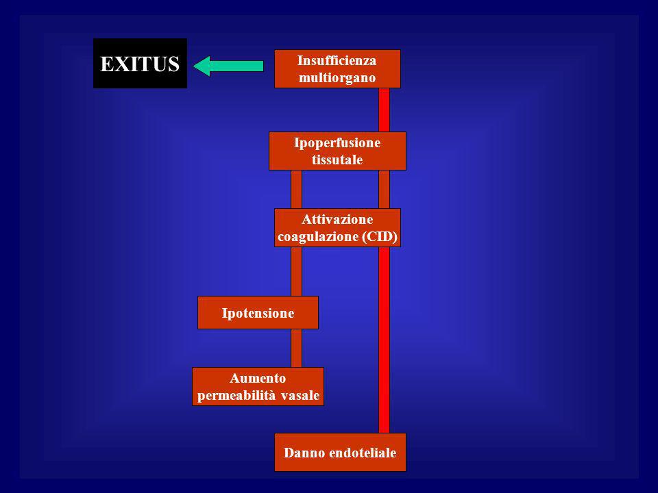 EXITUS Insufficienza multiorgano Ipoperfusione tissutale Attivazione