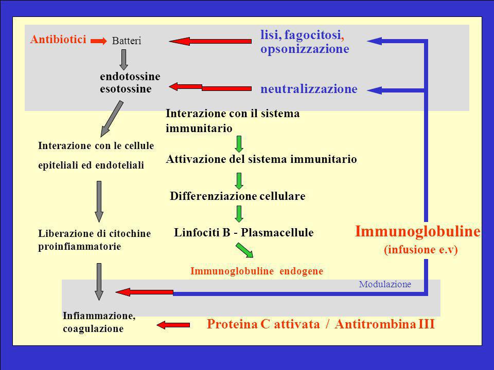 Immunoglobuline lisi, fagocitosi, opsonizzazione neutralizzazione