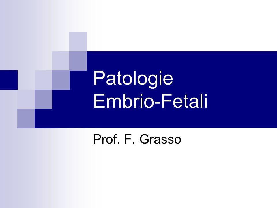 Patologie Embrio-Fetali
