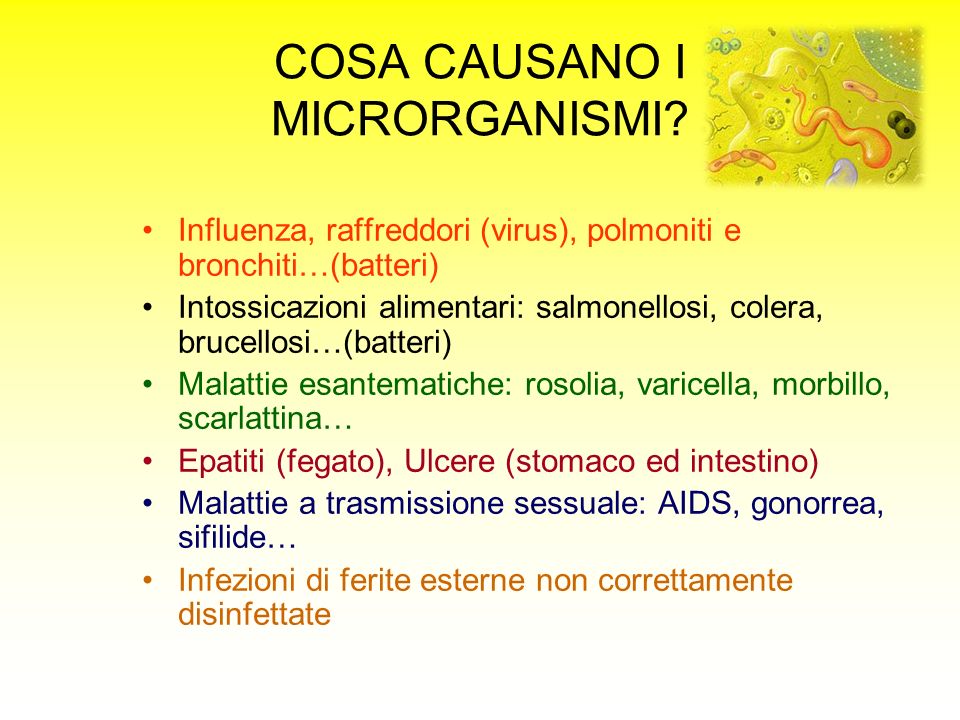 COSA CAUSANO I MICRORGANISMI