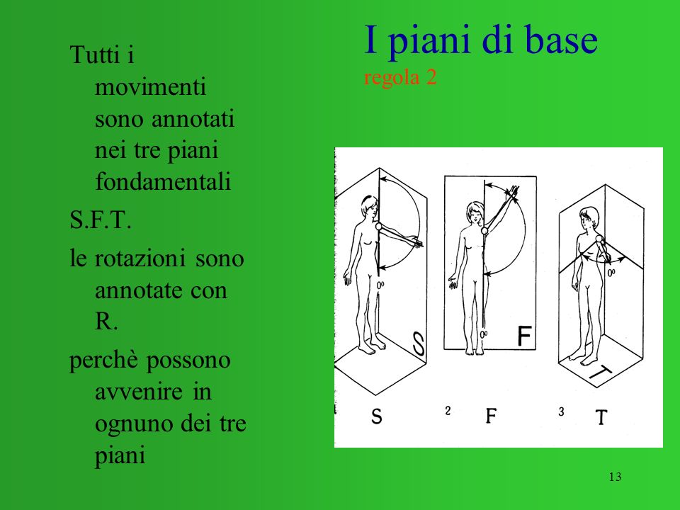 I piani di base regola 2 Tutti i movimenti sono annotati nei tre piani fondamentali. S.F.T. le rotazioni sono annotate con R.