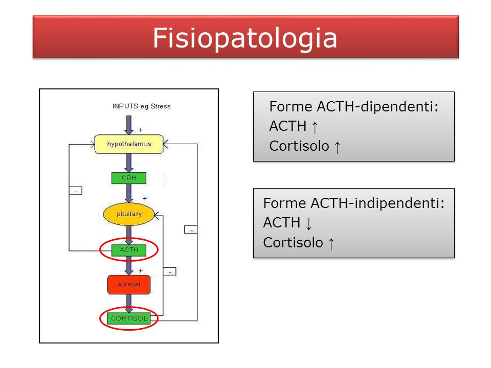 Fisiopatologia Forme ACTH-dipendenti: ACTH ↑ Cortisolo ↑
