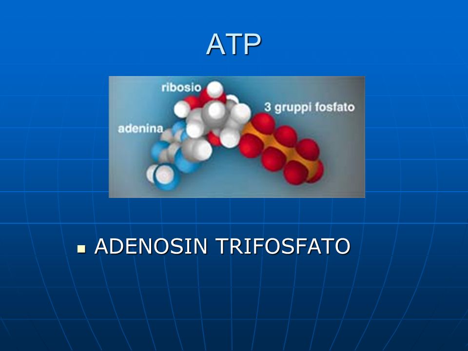 ATP ADENOSIN TRIFOSFATO