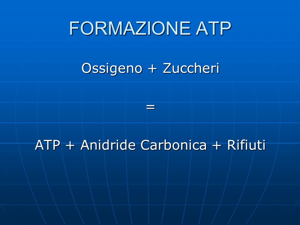 ATP + Anidride Carbonica + Rifiuti