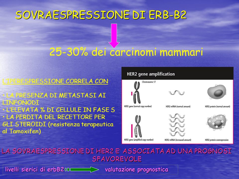 SOVRAESPRESSIONE DI ERB-B2