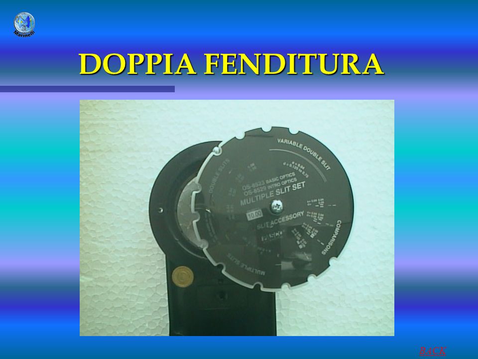 DOPPIA FENDITURA BACK