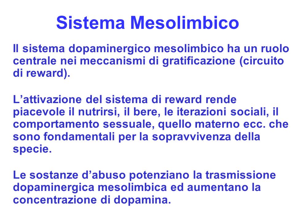 Sistema Mesolimbico Il sistema dopaminergico mesolimbico ha un ruolo centrale nei meccanismi di gratificazione (circuito di reward).