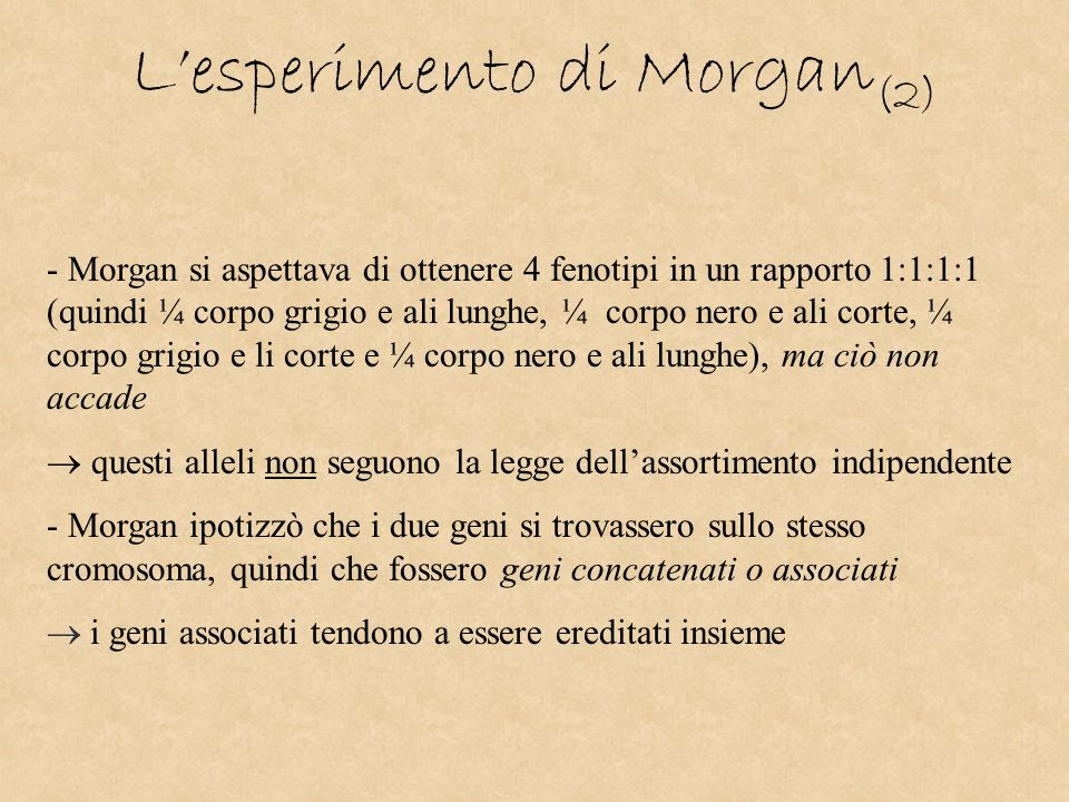 L’esperimento di Morgan(2)
