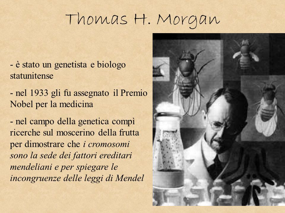 Thomas H. Morgan è stato un genetista e biologo statunitense