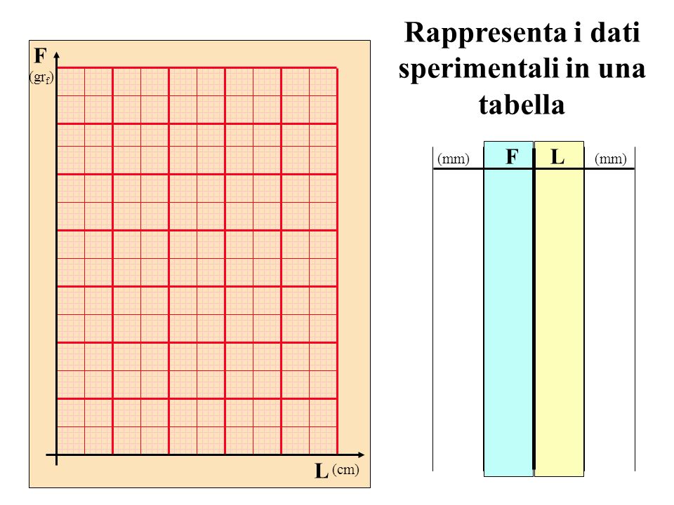 Rappresenta i dati sperimentali in una tabella