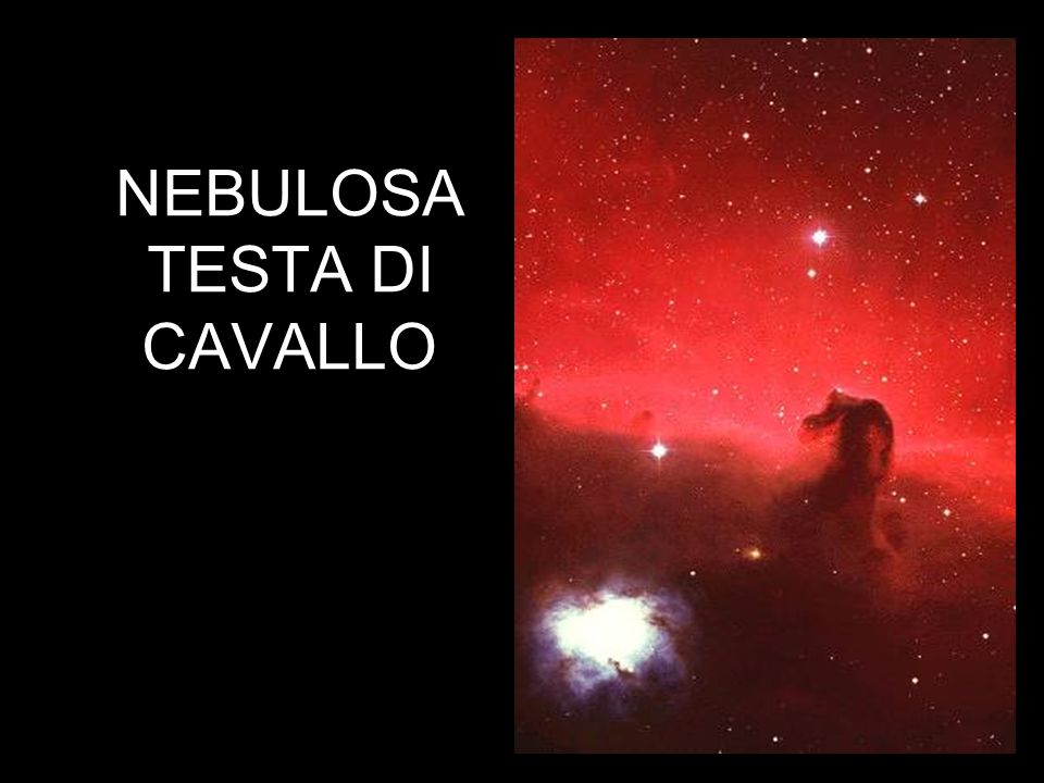NEBULOSA TESTA DI CAVALLO
