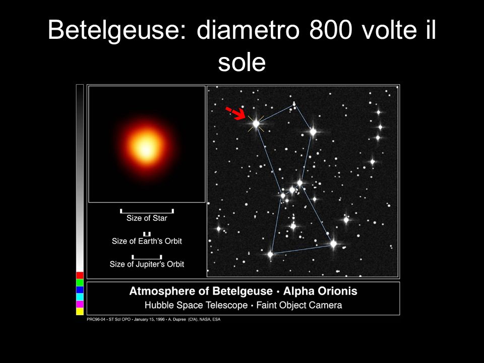 Betelgeuse: diametro 800 volte il sole
