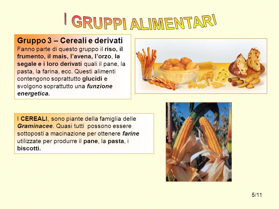 I GRUPPI ALIMENTARI Gruppo 3 – Cereali e derivati
