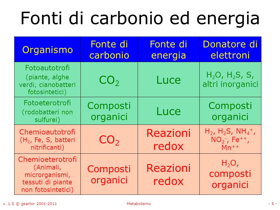 Fonti di carbonio ed energia