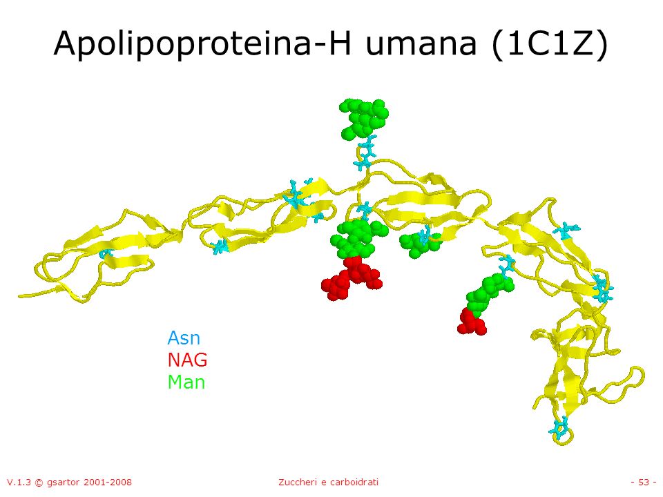 Apolipoproteina-H umana (1C1Z)