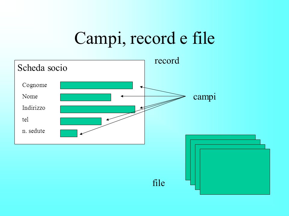 Campi, record e file record Scheda socio campi file Cognome Nome