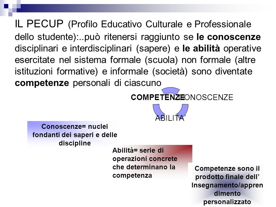 IL PECUP (Profilo Educativo Culturale e Professionale dello studente):