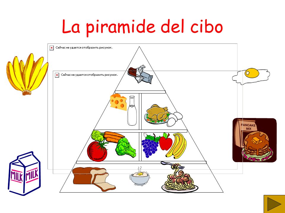 La piramide del cibo