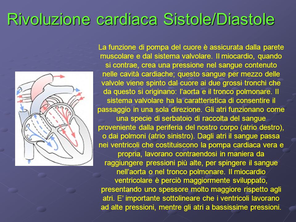 Rivoluzione cardiaca Sistole/Diastole
