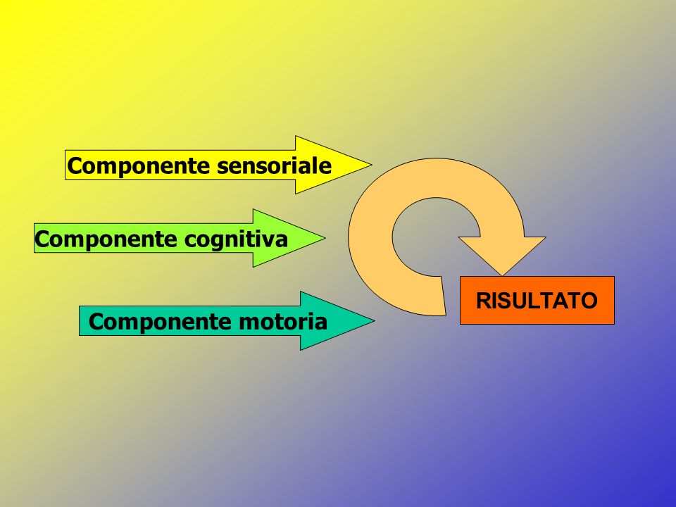 Componente sensoriale