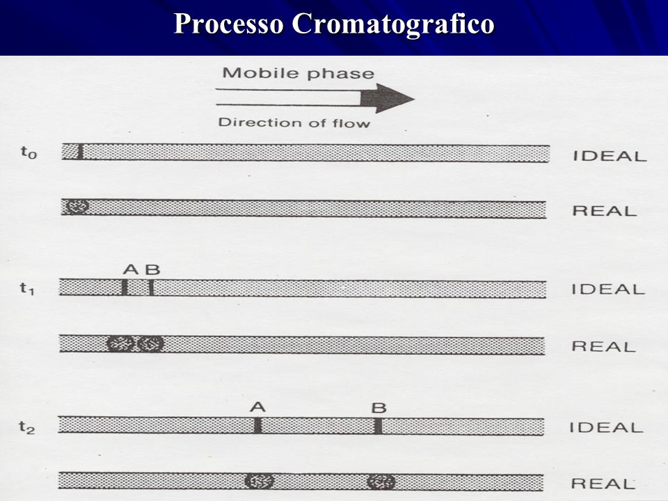 Processo Cromatografico