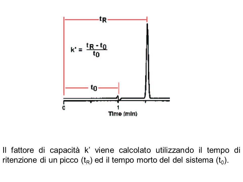 Il fattore di capacità k’ viene calcolato utilizzando il tempo di ritenzione di un picco (tR) ed il tempo morto del del sistema (t0).