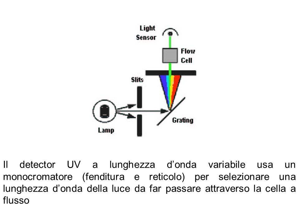 Il detector UV a lunghezza d’onda variabile usa un monocromatore (fenditura e reticolo) per selezionare una lunghezza d’onda della luce da far passare attraverso la cella a flusso
