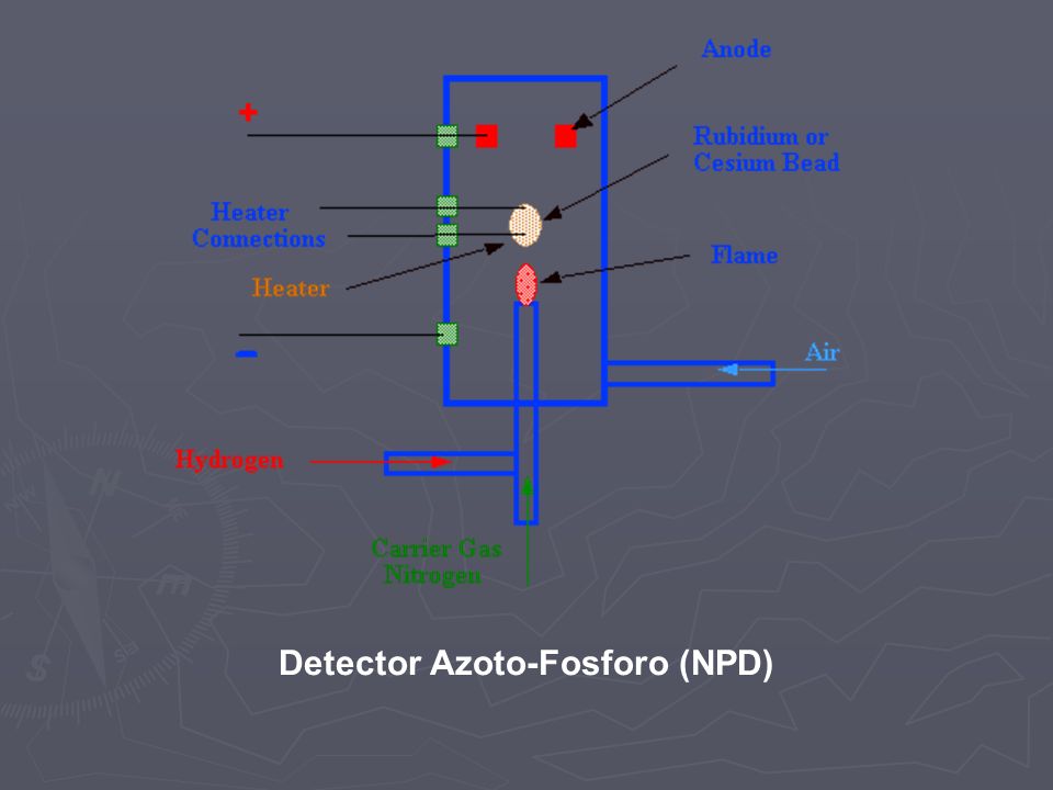 Detector Azoto-Fosforo (NPD)