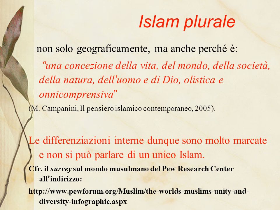 Islam plurale non solo geograficamente, ma anche perché è: