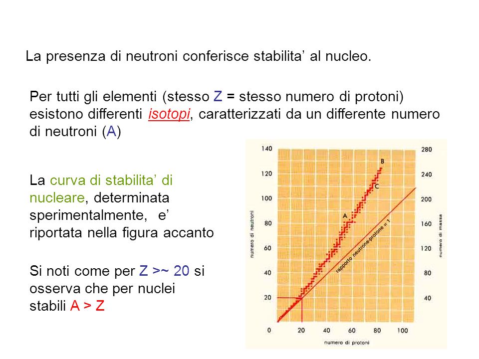 La presenza di neutroni conferisce stabilita’ al nucleo.