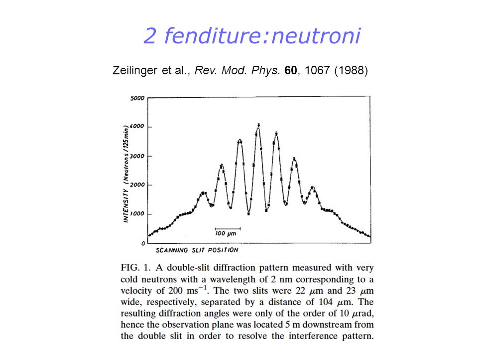 2 fenditure:neutroni Zeilinger et al., Rev. Mod. Phys. 60, 1067 (1988)