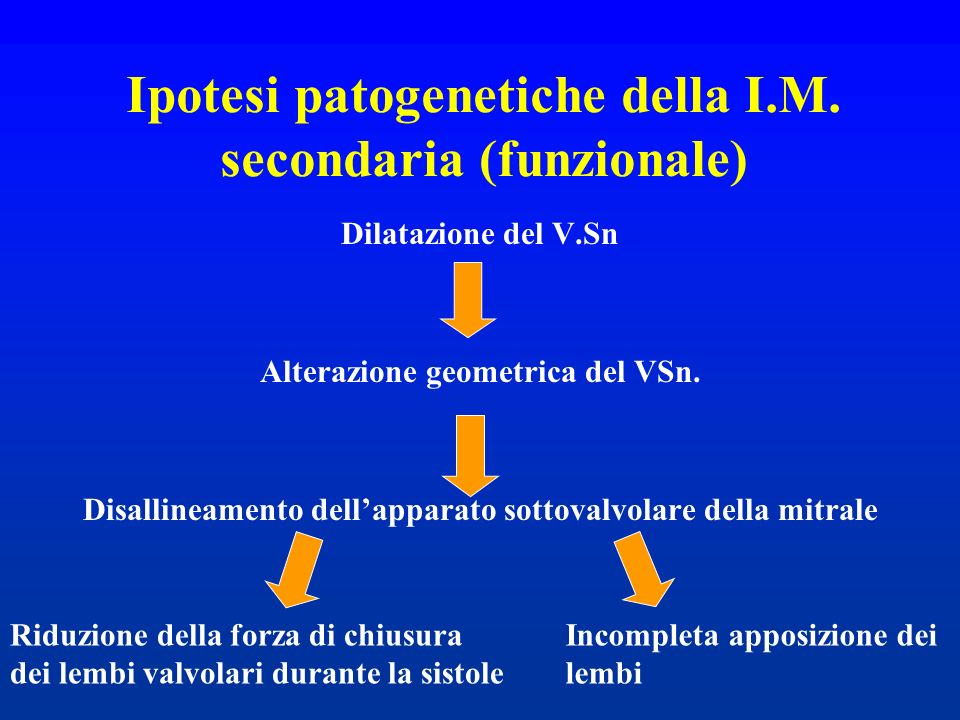 Ipotesi patogenetiche della I.M. secondaria (funzionale)